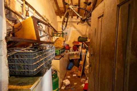 3 moradias com logradouro de 2750m2, em bencatel