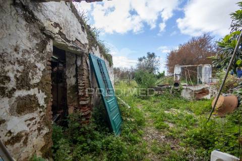 3 moradias com logradouro de 2750m2, em bencatel