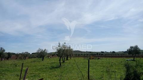 Casa típica do alentejo, estremoz