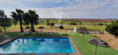 Monte alentejano em ferreira do alentejo