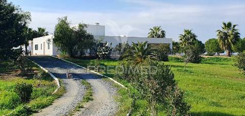 Monte alentejano em ferreira do alentejo