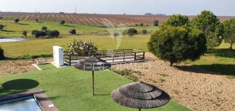 Monte alentejano em ferreira do alentejo