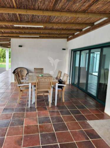 Monte alentejano em ferreira do alentejo