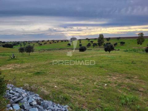 Monte alentejano em ferreira do alentejo