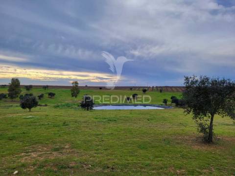 Monte alentejano em ferreira do alentejo