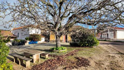 Moradia t2 para restaurar serra de santo antónio / alcanena