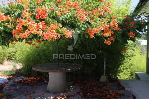 Moradia t5 com piscina