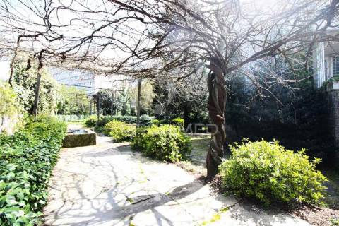 Terreno com 4614 m2 para construção no centro de guimarães