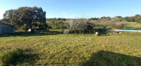 Monte alantejano com 3 habitações e piscina