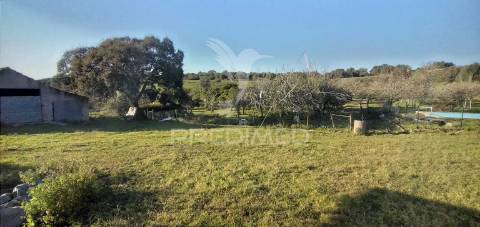 Monte alantejano com 3 habitações e piscina