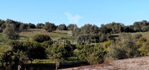 Monte alantejano com 3 habitações e piscina