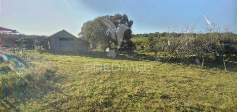 Monte alantejano com 3 habitações e piscina