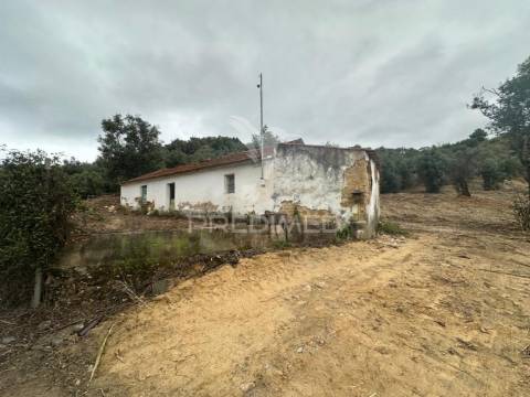 Moradia para recuperar