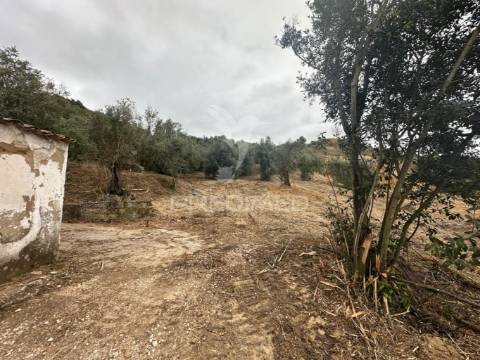 Moradia para recuperar