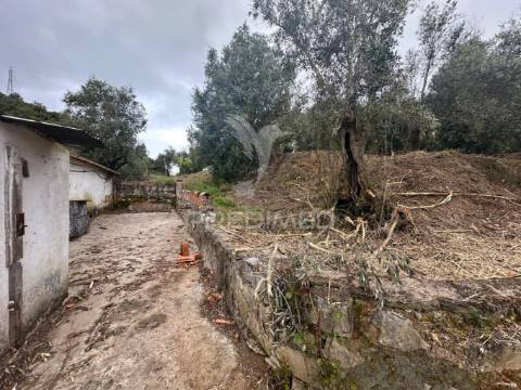 Moradia para recuperar