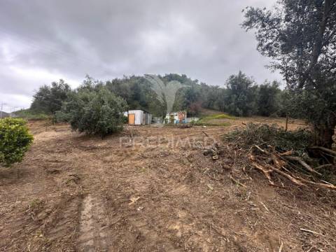 Moradia para recuperar