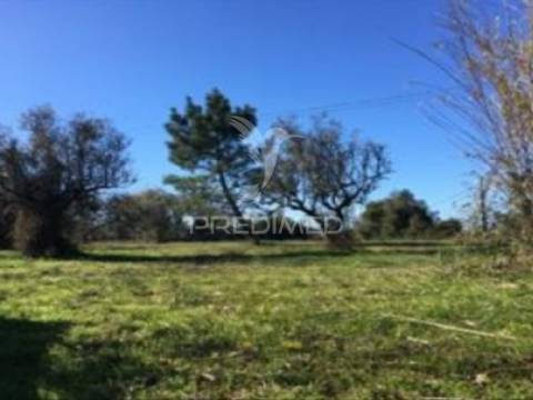 Terreno rústico com 11.450 m² em cantanhede – potencial para 9 moradias