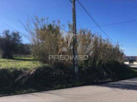 Terreno rústico com 11.450 m² em cantanhede – potencial para 9 moradias