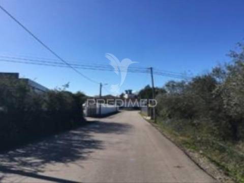 Terreno rústico com 11.450 m² em cantanhede – potencial para 9 moradias