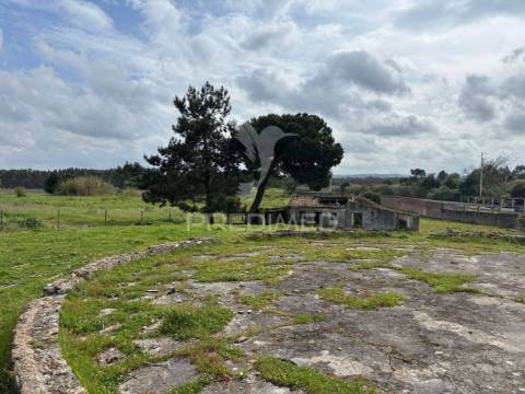 Terreno 4641m2 serra do bouro, caldas da rainha