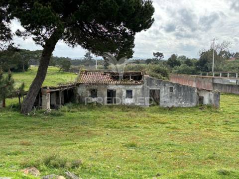Terreno 4641m2 serra do bouro, caldas da rainha