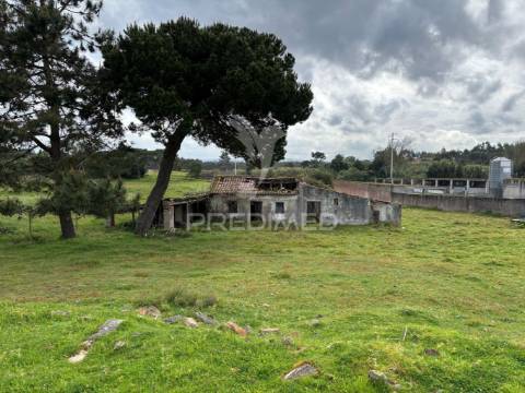 Terreno 4641m2 serra do bouro, caldas da rainha