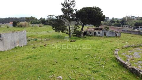 Terreno 4641m2 serra do bouro, caldas da rainha