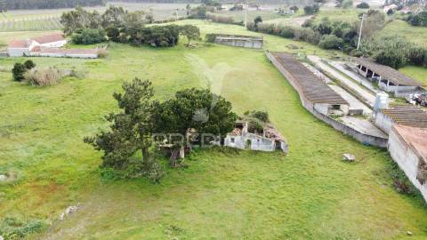 Terreno 4641m2 serra do bouro, caldas da rainha