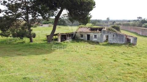 Terreno 4641m2 serra do bouro, caldas da rainha