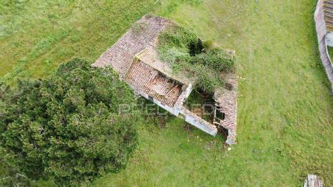 Terreno 4641m2 serra do bouro, caldas da rainha
