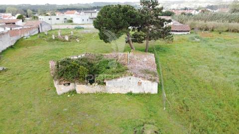 Terreno 4641m2 serra do bouro, caldas da rainha