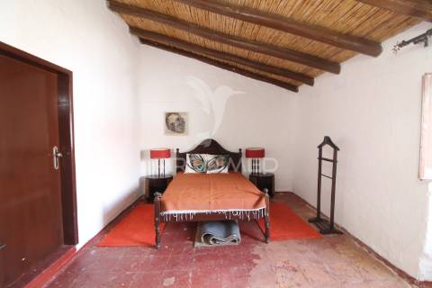 Moradia têrrea na vila de safara com quintal