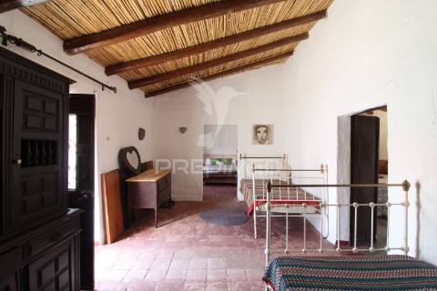 Moradia têrrea na vila de safara com quintal