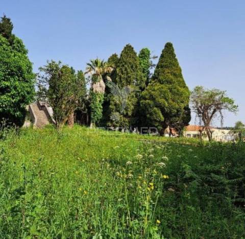 Quinta com potencial de recuperação e construção | fiães – santa maria da feira