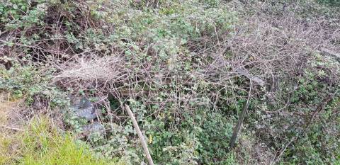 Terreno rústico em moura morta