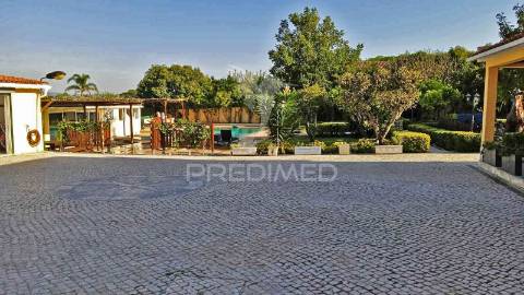 Quinta com piscina e com lote de terreno rústico