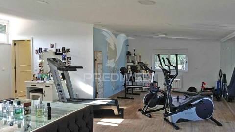 Quinta com piscina e com lote de terreno rústico