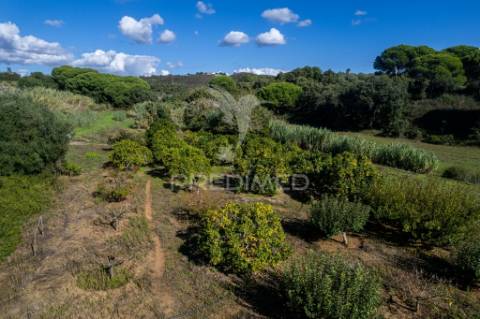 Terreno em ademas, perto da lagoa de santo andré