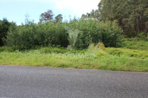 Terreno com possibilidade de  construção