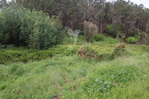 Terreno com possibilidade de  construção