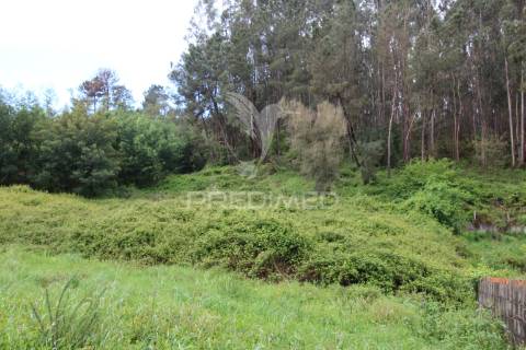 Terreno com possibilidade de  construção