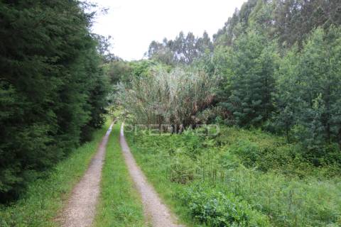 Terreno com possibilidade de  construção