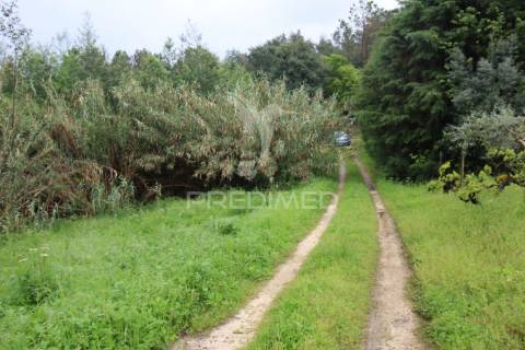 Terreno com possibilidade de  construção