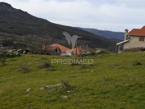 Terreno à venda em alhões (cinfães) – viva em harmonia com a natureza!