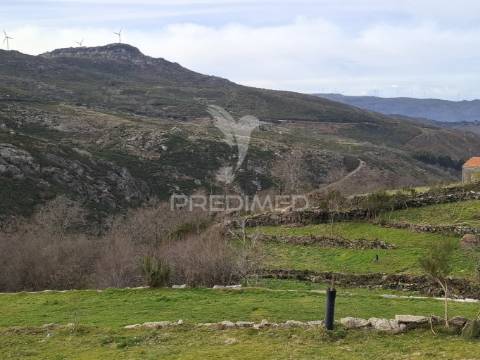 Terreno à venda em alhões (cinfães) – viva em harmonia com a natureza!