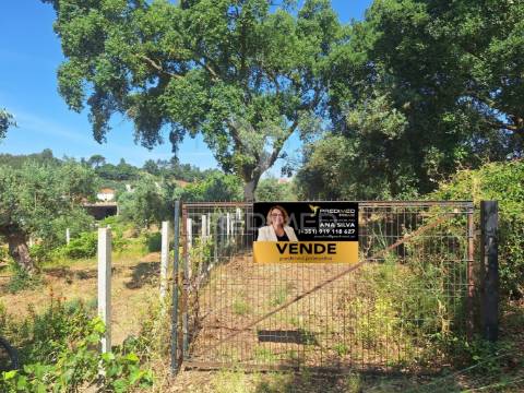 Terreno, madeiras, vila nova da barquinha