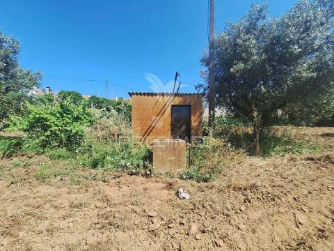 Terreno, madeiras, vila nova da barquinha