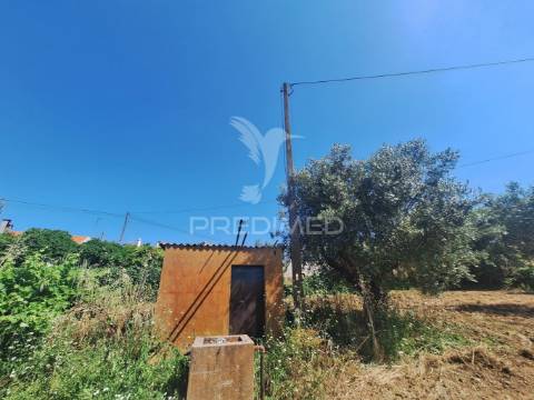 Terreno, madeiras, vila nova da barquinha