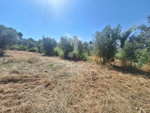 Terreno, madeiras, vila nova da barquinha