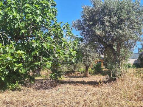 Terreno, madeiras, vila nova da barquinha